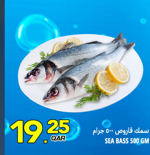 Eggplant available at Food Palace Hypermarket in Qatar - Umm Salal