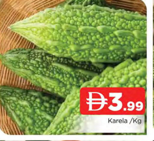 available at المدينة in الإمارات العربية المتحدة , الامارات - الشارقة / عجمان