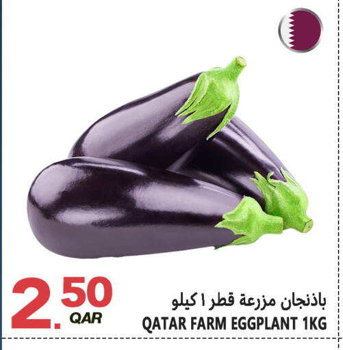 Eggplant from Qatar available at قصر الأغذية هايبرماركت in قطر - الدوحة