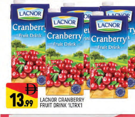Cranberry available at المدينة in الإمارات العربية المتحدة , الامارات - دبي