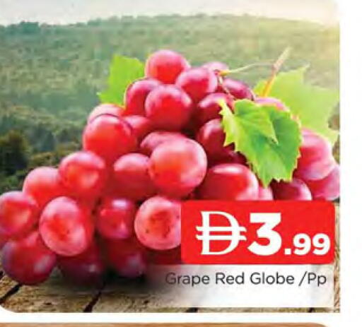 available at المدينة in الإمارات العربية المتحدة , الامارات - الشارقة / عجمان