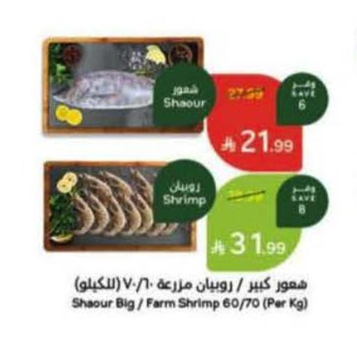 available at هايبر بنده in مملكة العربية السعودية, السعودية, سعودية - الرس