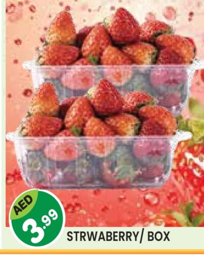 available at سنابل بني ياس in الإمارات العربية المتحدة , الامارات - أم القيوين‎