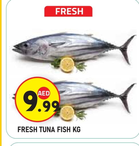 تونة available at سنابل بني ياس in الإمارات العربية المتحدة , الامارات - أبو ظبي