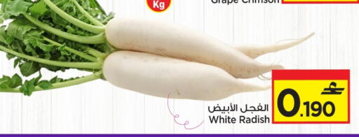 Radish available at مارك & سايف in عُمان - مسقط‎