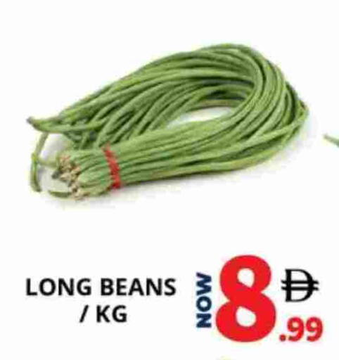 available at اكسبرس المدينة هايبرماركت in الإمارات العربية المتحدة , الامارات - أبو ظبي