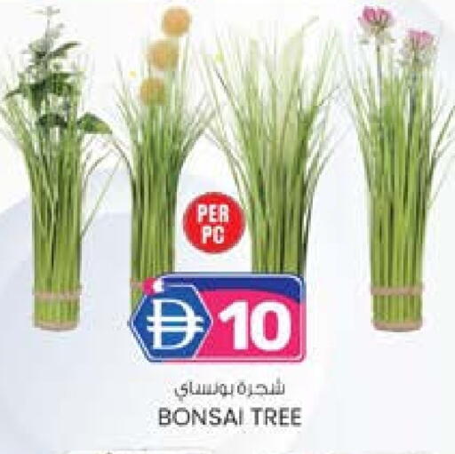 available at Safa Hyper in UAE - Al Ain