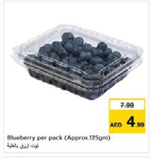 Blueberry BlueBerry available at نستو هايبرماركت in الإمارات العربية المتحدة , الامارات - الشارقة / عجمان