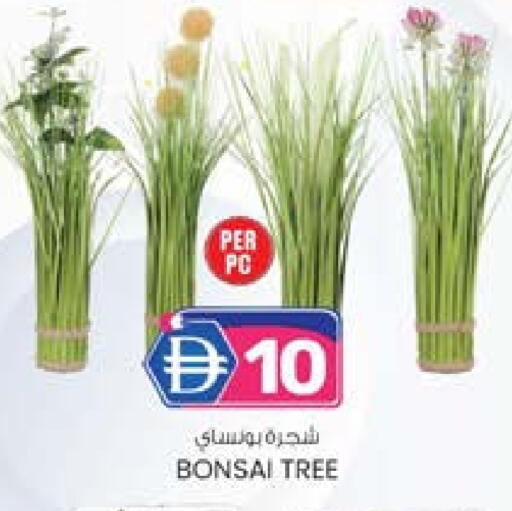 available at ك. الم. للتجارة in الإمارات العربية المتحدة , الامارات - الشارقة / عجمان