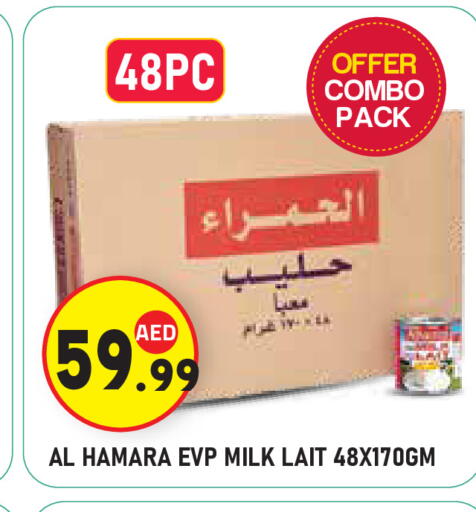 available at سنابل بني ياس in الإمارات العربية المتحدة , الامارات - ٱلْعَيْن‎