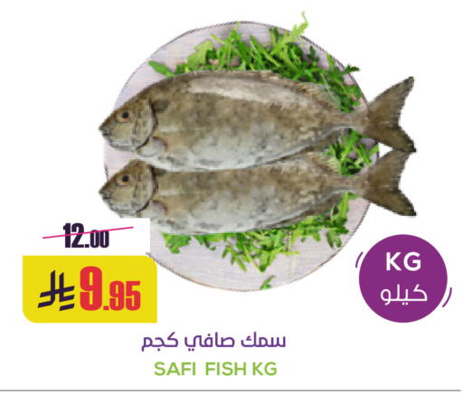 available at سبت in مملكة العربية السعودية, السعودية, سعودية - بريدة