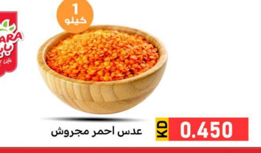 available at شركة سوق ميم المركزي  in الكويت - محافظة الأحمدي