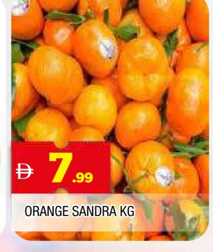 برتقال available at المدينة in الإمارات العربية المتحدة , الامارات - الشارقة / عجمان