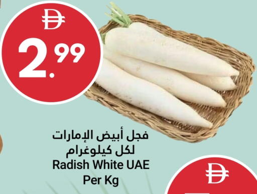 Radish available at جراند الإمارات للتسوق in الإمارات العربية المتحدة , الامارات - أبو ظبي