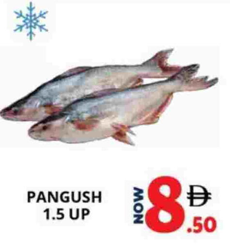 available at اكسبرس المدينة هايبرماركت in الإمارات العربية المتحدة , الامارات - أبو ظبي