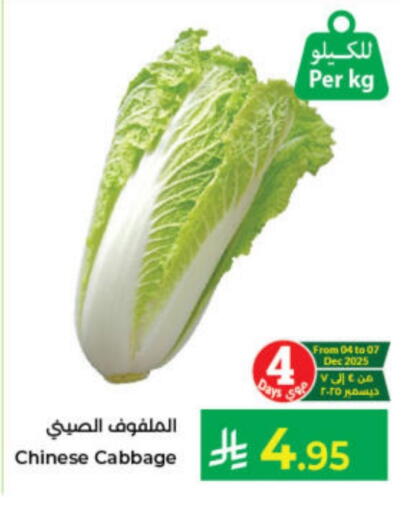 Cabbage from China available at Kabayan Hypermarket in KSA, Saudi Arabia, Saudi - Jeddah