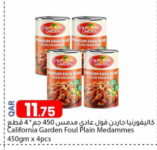 CALIFORNIA Fava Beans available at Dana Market in Qatar - Al Shamal