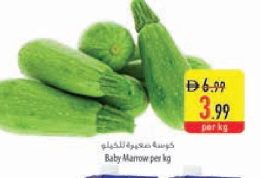 Marrow available at السفير ماركت in الإمارات العربية المتحدة , الامارات - أم القيوين‎
