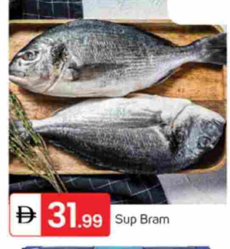 available at سوق طلال in الإمارات العربية المتحدة , الامارات - دبي