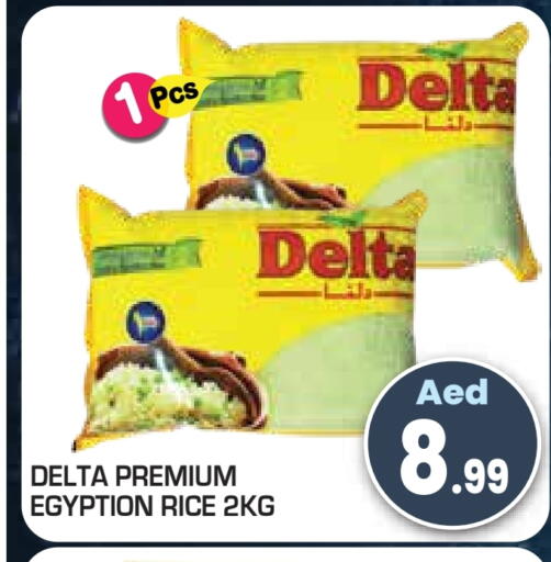 available at سنابل بني ياس in الإمارات العربية المتحدة , الامارات - أم القيوين‎