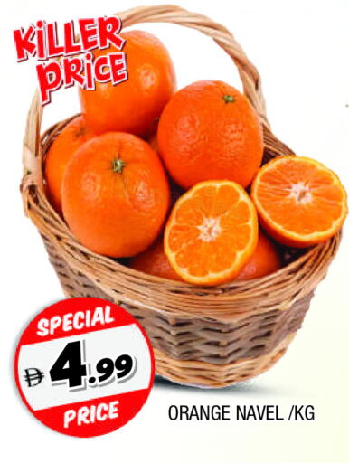 برتقال available at المدينة in الإمارات العربية المتحدة , الامارات - الشارقة / عجمان