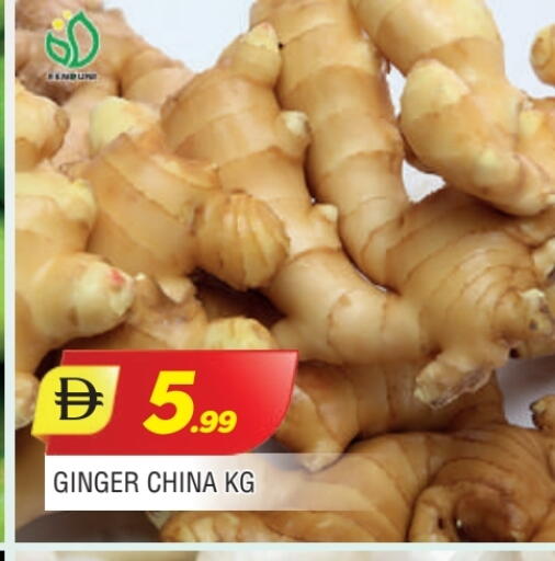 زنجبيل from China available at المدينة in الإمارات العربية المتحدة , الامارات - الشارقة / عجمان