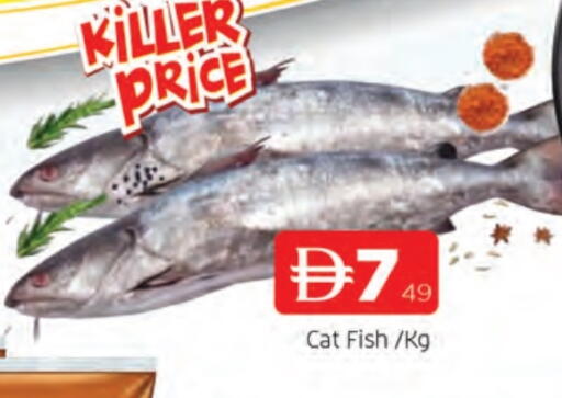 available at المدينة in الإمارات العربية المتحدة , الامارات - الشارقة / عجمان