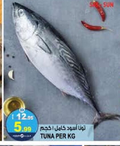 تونة available at هاشم هايبرماركت in الإمارات العربية المتحدة , الامارات - الشارقة / عجمان