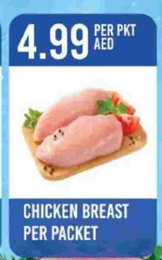 available at دريم لاند in الإمارات العربية المتحدة , الامارات - دبي