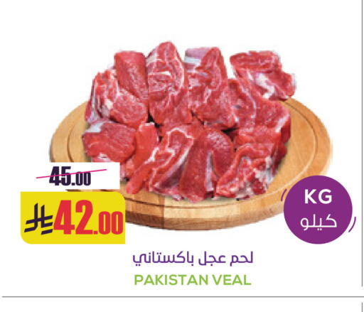 available at Sapt in KSA, Saudi Arabia, Saudi - Buraidah