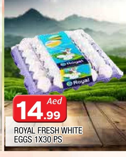 available at المدينة in الإمارات العربية المتحدة , الامارات - الشارقة / عجمان