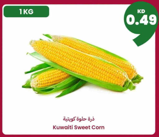 from Kuwait available at توصيل  in الكويت - محافظة الجهراء