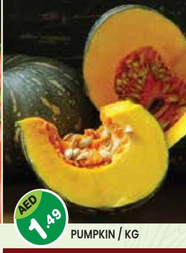 Pumpkin available at سنابل بني ياس in الإمارات العربية المتحدة , الامارات - أم القيوين‎