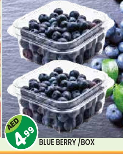 available at سنابل بني ياس in الإمارات العربية المتحدة , الامارات - أم القيوين‎