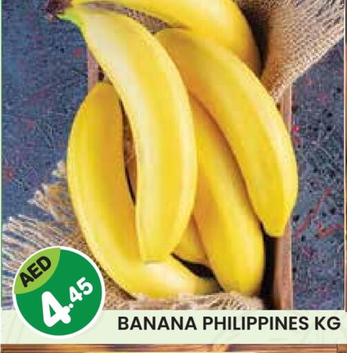 موز from Philippines available at فريش سبايك سوبرماركت in الإمارات العربية المتحدة , الامارات - دبي