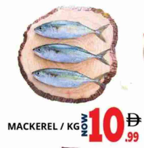 available at اكسبرس المدينة هايبرماركت in الإمارات العربية المتحدة , الامارات - أبو ظبي