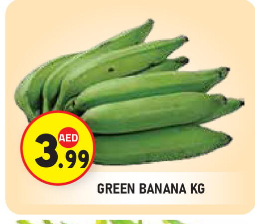 Banana available at سنابل بني ياس in الإمارات العربية المتحدة , الامارات - ٱلْعَيْن‎