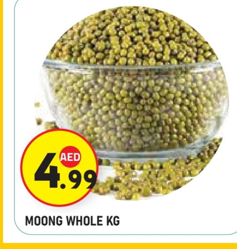 available at سنابل بني ياس in الإمارات العربية المتحدة , الامارات - أبو ظبي