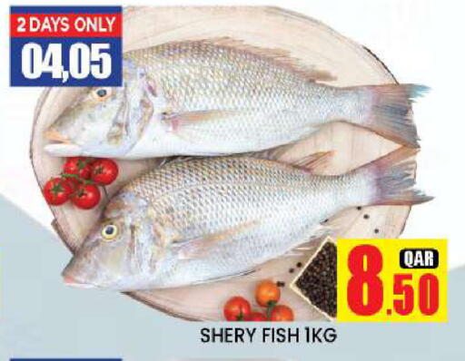 available at New Stop n Shop @Fereej Bin Omran in Qatar - Al Wakra