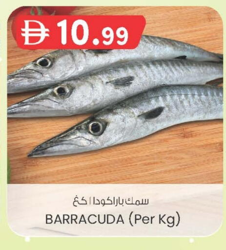 available at صفا اكسبريس سوبرماركت in الإمارات العربية المتحدة , الامارات - ٱلْعَيْن‎