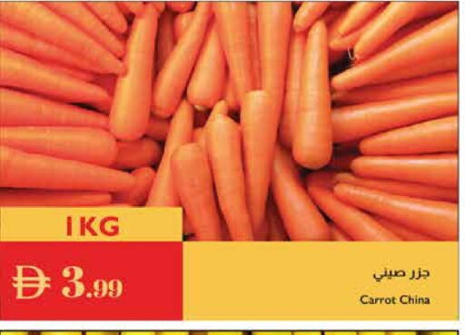 جزر from China available at إسطنبول سوبرماركت in الإمارات العربية المتحدة , الامارات - ٱلْعَيْن‎