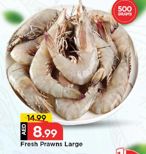 available at مارك & سيف in الإمارات العربية المتحدة , الامارات - الشارقة / عجمان