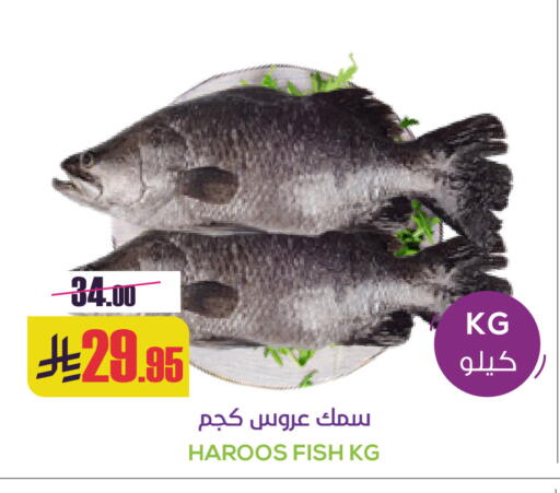 available at سبت in مملكة العربية السعودية, السعودية, سعودية - بريدة