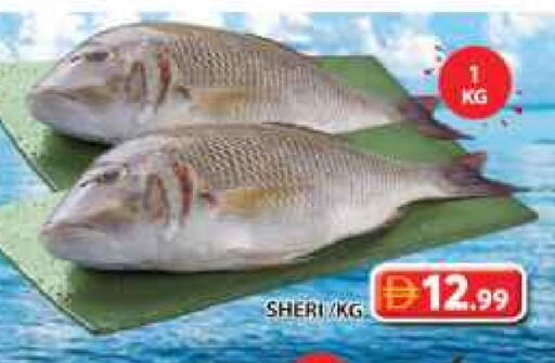 available at جراند هايبر ماركت in الإمارات العربية المتحدة , الامارات - الشارقة / عجمان