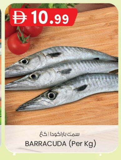 available at Safa Express Supermarket in UAE - Al Ain