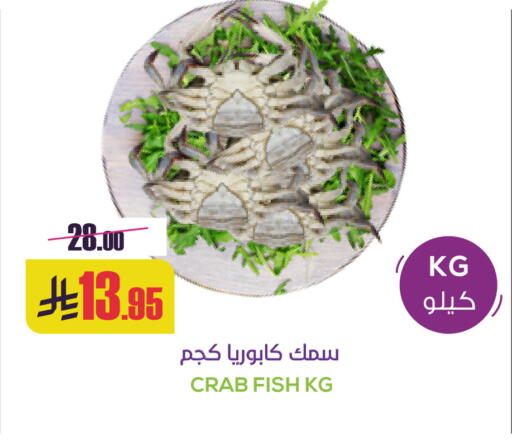 available at سبت in مملكة العربية السعودية, السعودية, سعودية - بريدة