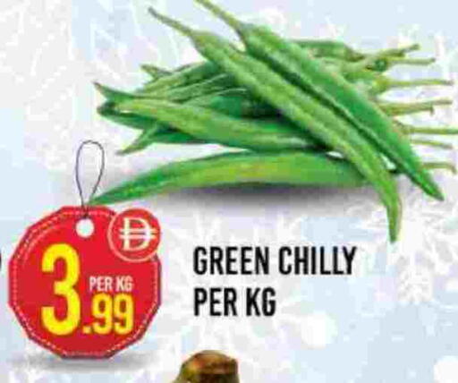 available at دريم لاند in الإمارات العربية المتحدة , الامارات - دبي