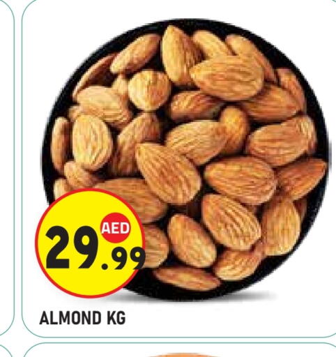 available at سنابل بني ياس in الإمارات العربية المتحدة , الامارات - أبو ظبي