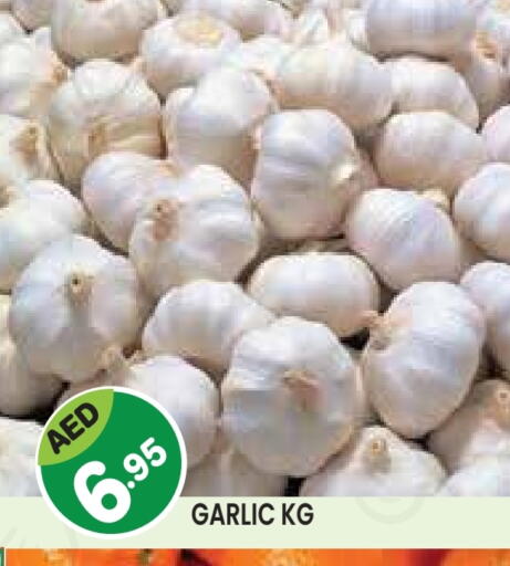 ثوم available at سنابل بني ياس in الإمارات العربية المتحدة , الامارات - أبو ظبي