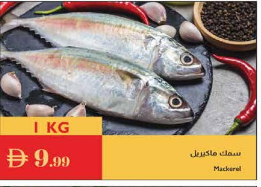 available at إسطنبول سوبرماركت in الإمارات العربية المتحدة , الامارات - أبو ظبي